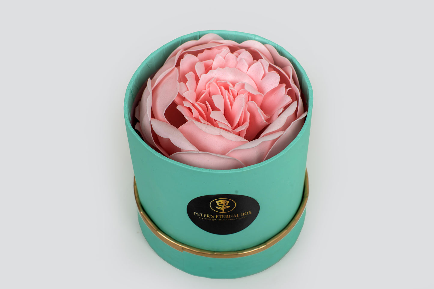 Caixa com peonia/rosa