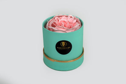 Caixa com peonia/rosa